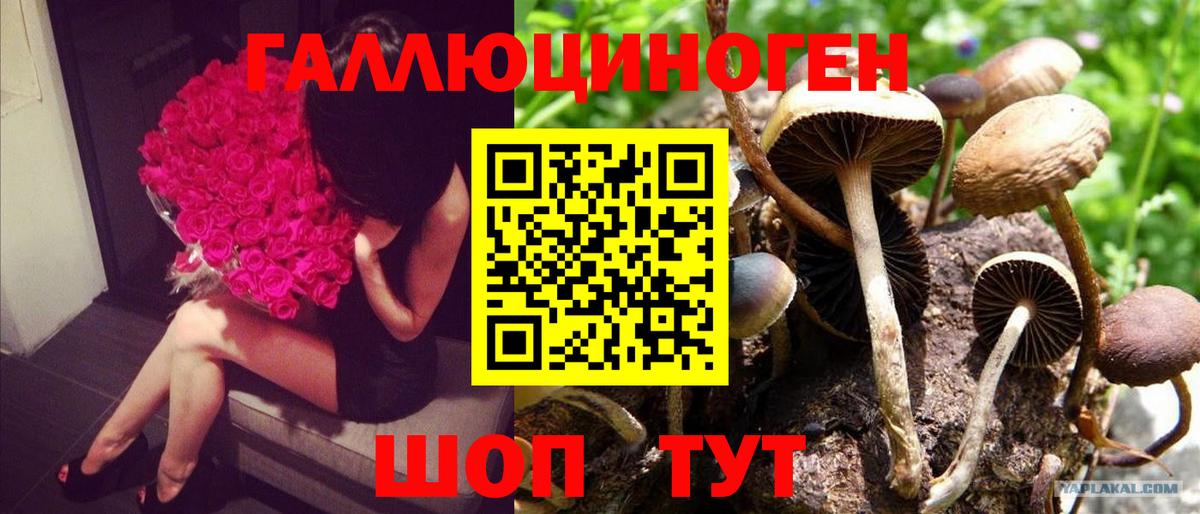 Псилоцибиновые грибы Cubensis  Вход с VPN  Псилоцибиновые грибы MAGIC MUSHROOMS  Котовск 