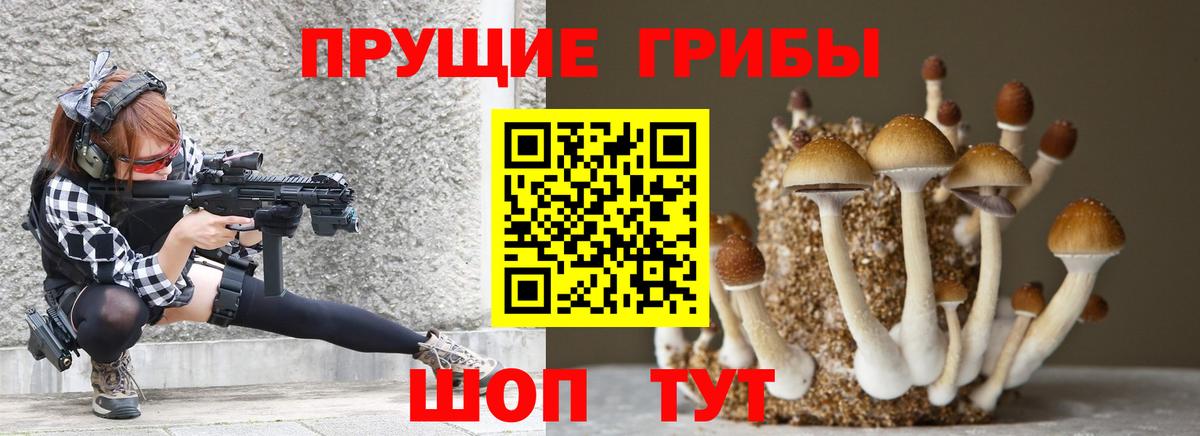 Галлюциногенные грибы MAGIC MUSHROOMS Котовск